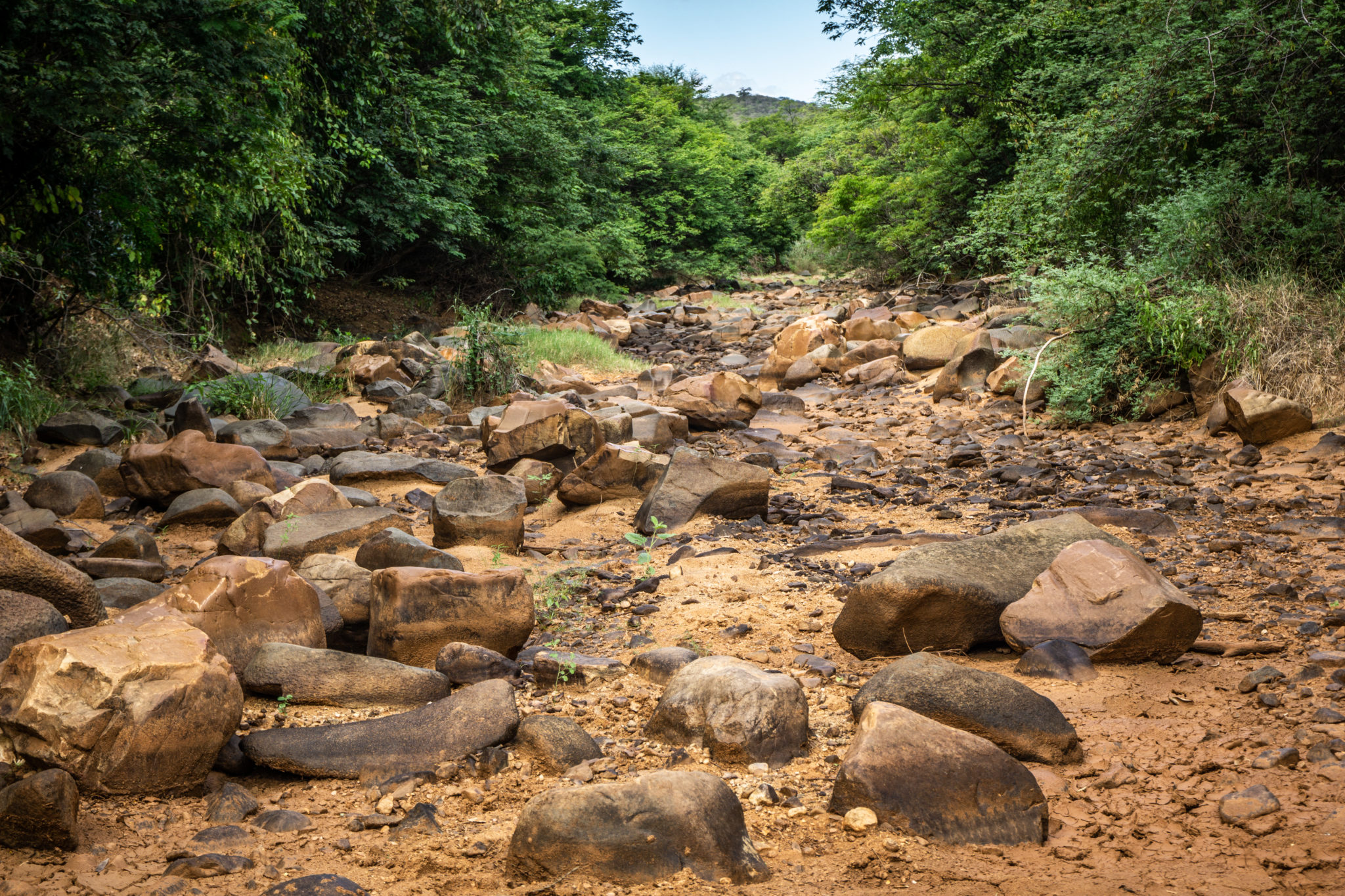 Barragem Subterrânea Daki Semiárido Vivo