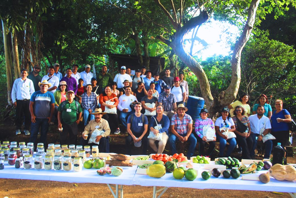 Resgate ancestral e resiliência climática são temas do Intercâmbio de Agricultores do Corredor Seco da América Central